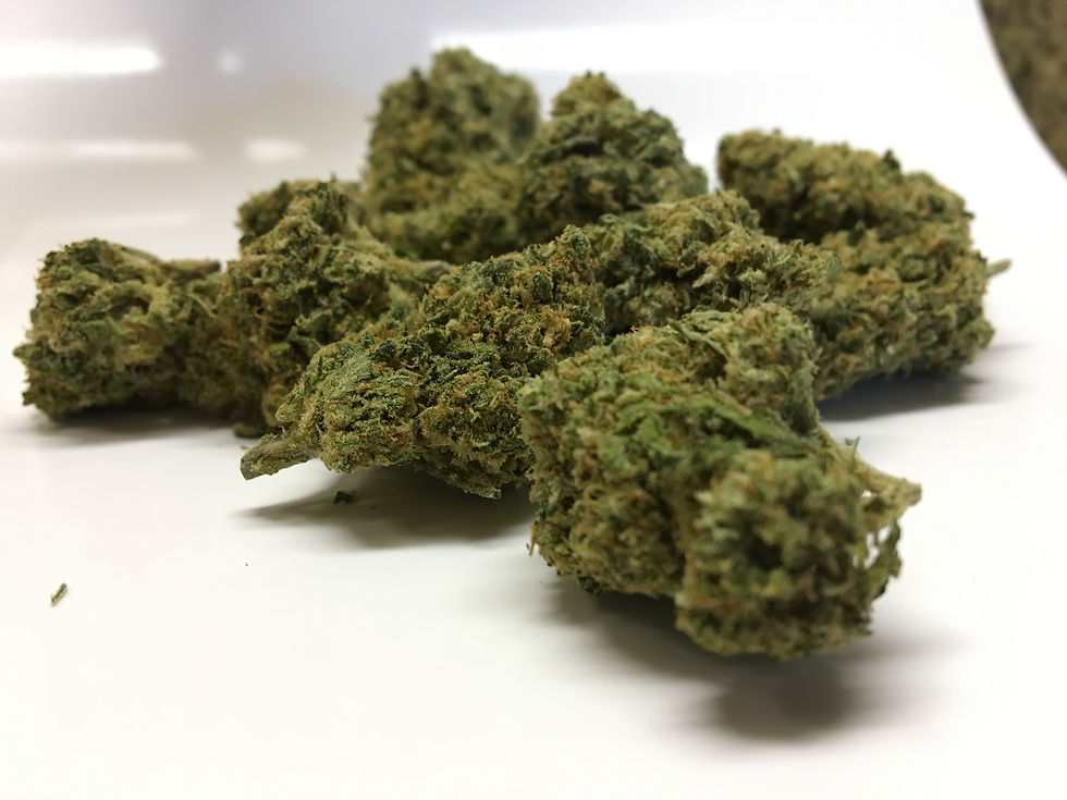 Marijuana Blue Dream Strain