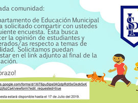 Encuesta Daem