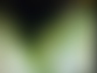 Sewer Line Repair In Kansas City 