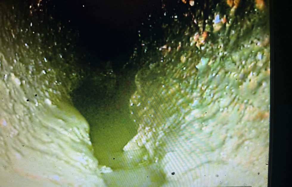 Sewer Line Repair in Kansas City: Your Trusted Guide