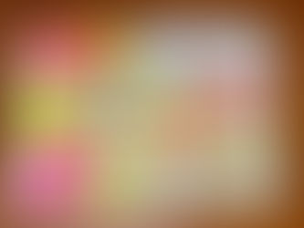 琉球列島島嶼別蝶類分布表(改)2
