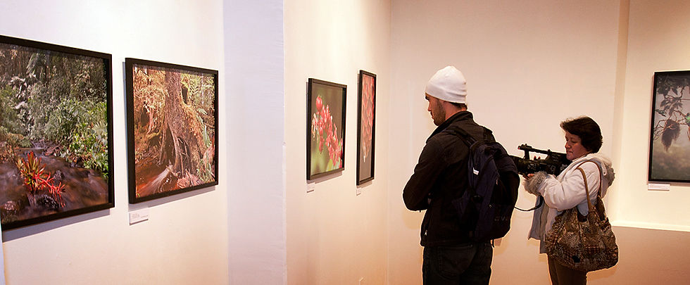 Exposiciones y Difusión