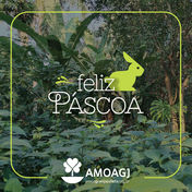 É tempo de agradecer, plantar a paz e renovar esperanças.