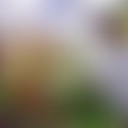 FEIRA DA ROÇA – SABERES & SABORES INICIA 2026 COM NOVO FORMATO