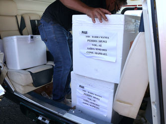 SEGUNDO LOTE DE CORONAVAC CHEGA EM BM