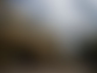 INVESTIMENTOS DO VR PREVIDÊNCIA CRESCEM R$ 350 MILHÕES NOS ÚLTIMOS QUATRO ANOS