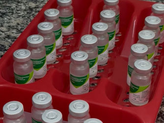 BARRA DO PIRAÍ VOLTA A SER POLO REGIONAL DE SORO ANTIVENENO APÓS MAIS DE UMA DÉCADA