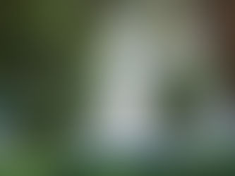 VASSOURAS E BARRA DO PIRAÍ ELENCAM EMPRESAS COM MAIORES RECLAMAÇÕES JUNTO AO PROCON