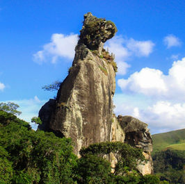 INTERIOR DO RIO REGISTRA ALTA OCUPAÇÃO EM HOTÉIS
