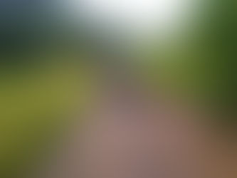 EQUIPES DA SMI-VR PROMOVEM MANUTENÇÃO EM BAIRROS DA CIDADE