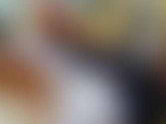 SOCIEDADE QUER NOVAS PROPOSTAS PARA PLANO DIRETOR DE VR E AS ELENCA EM AUDIÊNCIA PÚBLICA