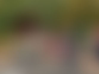 ZOOLÓGICO ESTREIA COMO PONTO DE VACINAÇÃO CONTRA COVID-19 E GRIPE INFLUENZA