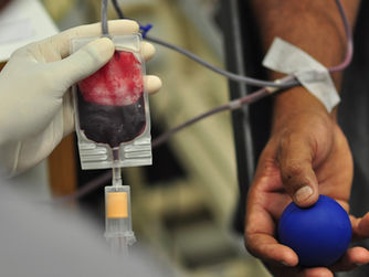 HEMONÚCLEO PROMOVE CAMPANHA POR DOAÇÃO DE SANGUE