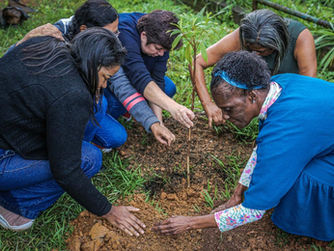 CRAS BELO HORIZONTE PROMOVE PLANTIO DE ÁRVORES FRUTÍFERAS DURANTE MÊS DO MEIO AMBIENTE