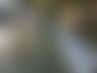 GOVERNO NETO INVESTE EM NOVOS EQUIPAMENTOS PARA MANUTENÇÃO DE VIAS