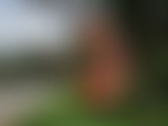 EXPORIO TURISMO REÚNE 14 MUNICÍPIOS DO VALE DO CAFÉ EM EVENTO EM IPIABAS