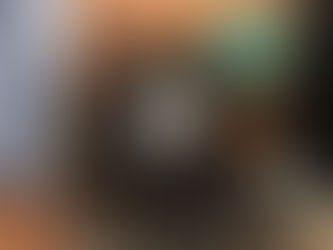 VEREADOR LELA HOMENAGEIA PREFEITO MÁRIO ESTEVES