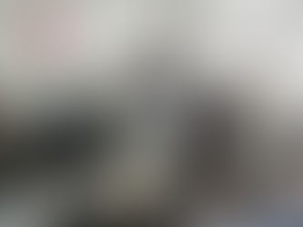 GOVERNO MUNICIPAL E SEBRAE SE REÚNEM COM EMPRESÁRIOS PARA VIABILIZAR POLO TURÍSTICO EM IPIABAS