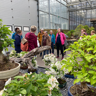 Gartencenter Zulauf