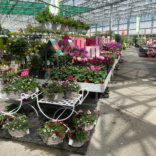 Gartencenter Zulauf