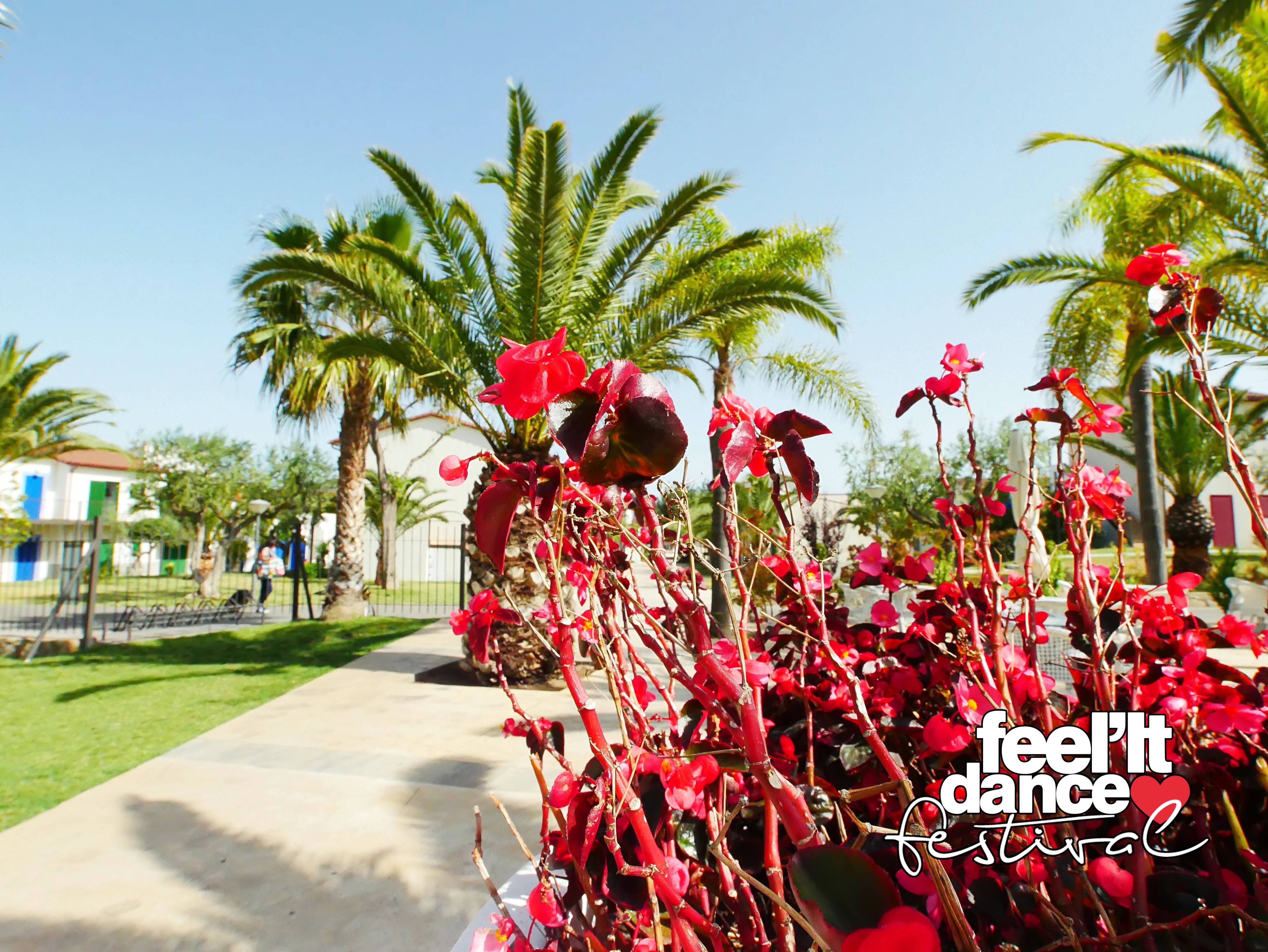 FeelitDanceFestival - 009
