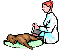 MVZ-MUJER-INYECTANDO-UN-PERRO-DORMIDO-4.gif