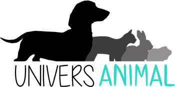 logo-long.png