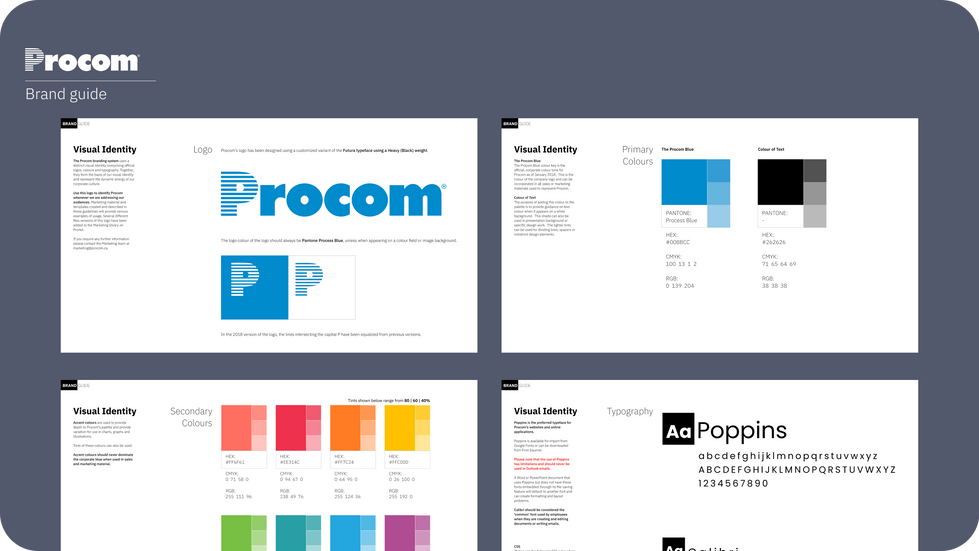Brand and Visual Identity Guide