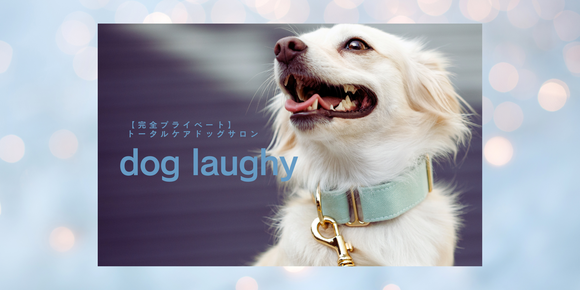 dog laughyの外観