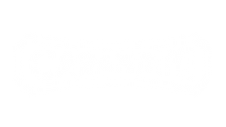 Carandini