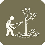 Élagage d'arbres - Coupe et entretien des arbres