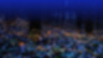 Fireflies.jpg