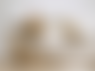 The Science of Sleep: Why Quality Rest is the Foundation of Thriving