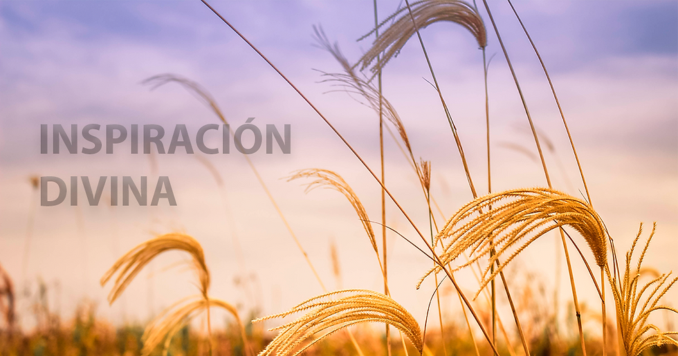La Inspiración De Las Escrituras