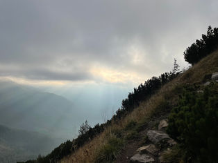 Góra.