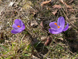 Spring.