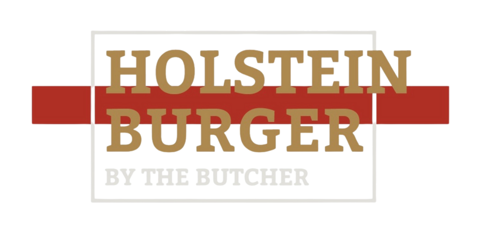 הולשטיין לוגו