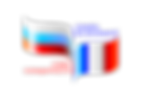 лого совет солидарности прозрачн.png