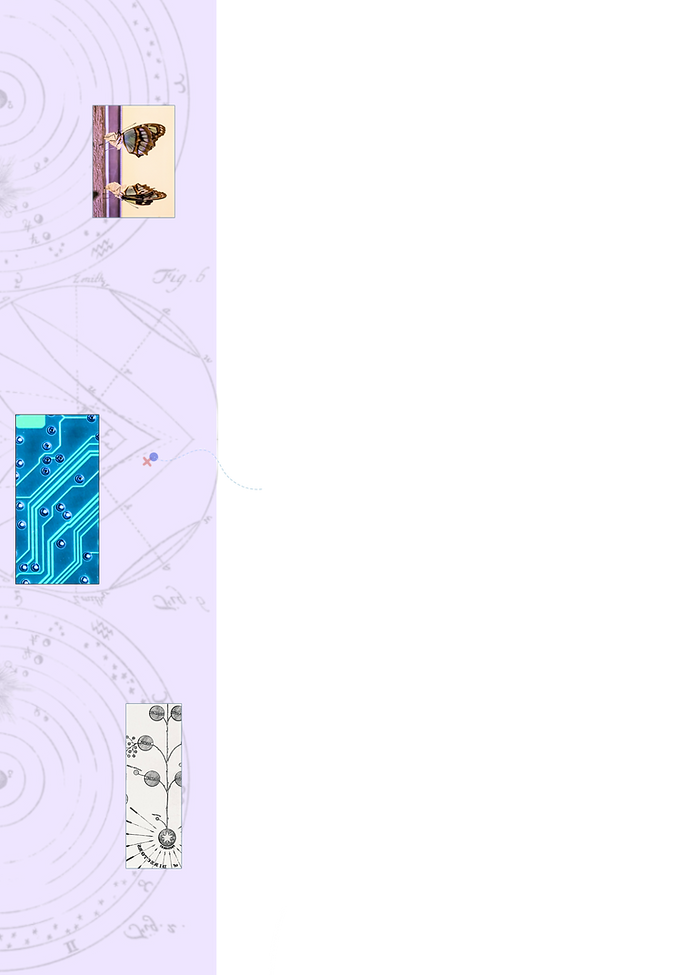 CC6 Websit evisuals_edited.png