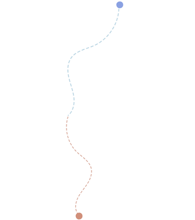 CC6 Websit evisuals (1).png