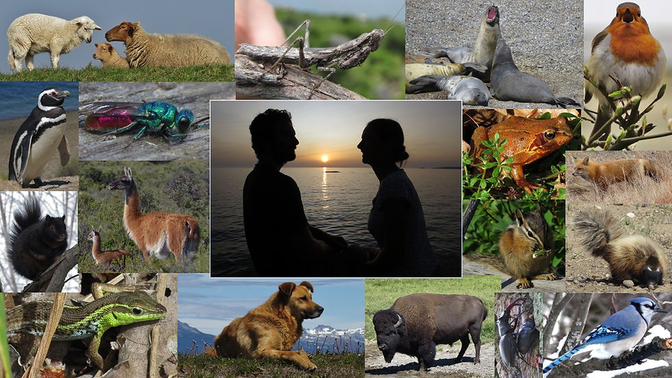 Menschen enthalten das gesamte Potenzial des Tierreichs