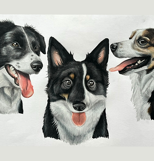 drawing DOGS_edited.png