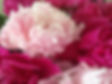 IMG_3390_edited.jpg