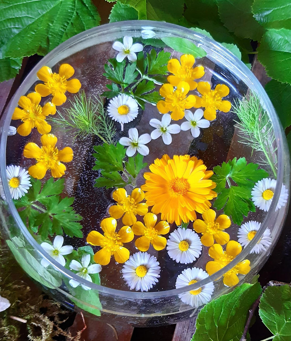 Bulles de Nature Estivales
