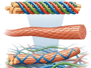 Revolutionizing Collagen Production for Biomaterials