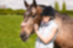 horses-6