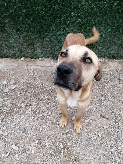 Foto 02.03.23, 08 22 16.jpg