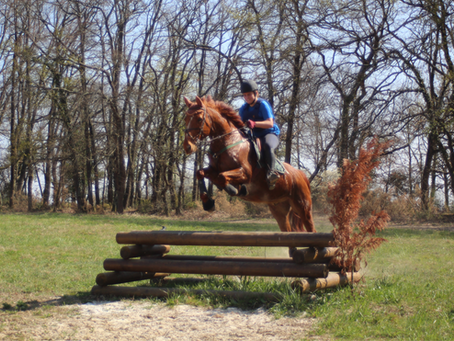 Cheval sautant un obstacle de cross et transpirant
