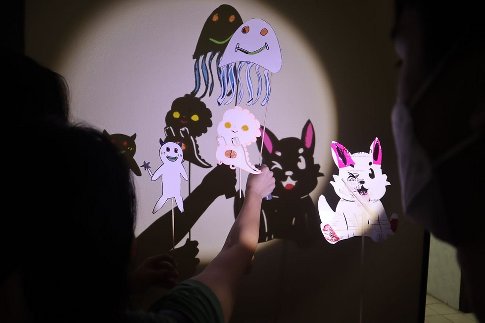 Shadow Play Workshop