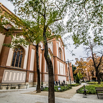 AdobeStock_191625640.jpeg